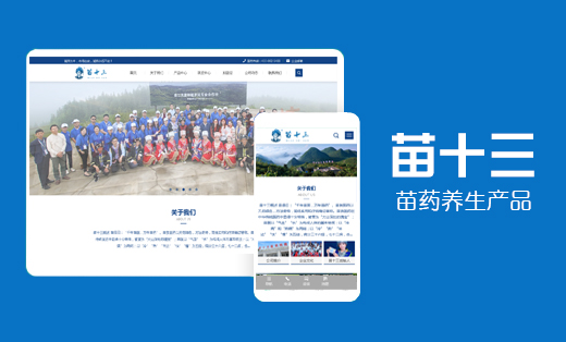 昆明網站建設 苗十三企業官網